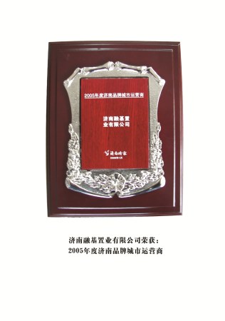 融基公司（2005年度濟南品牌城市運營商） 拷貝